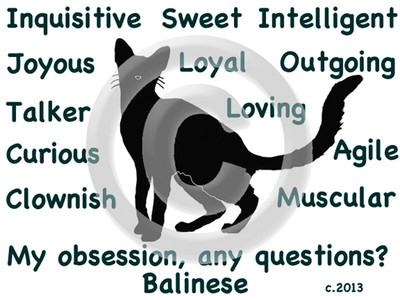 Balinese Cat My Obsession, Any Questions? T-shirt Choice size color 
