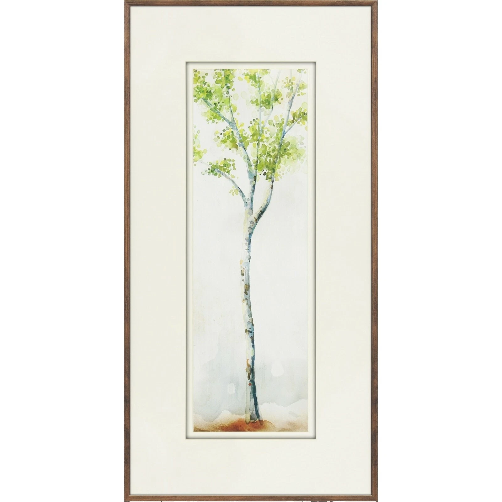 Framed Botanical Home Décor Posters & Prints