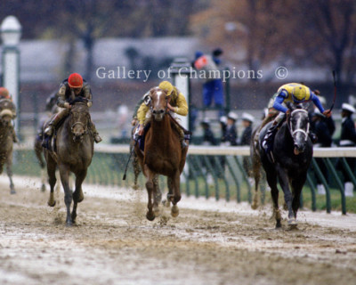 Personal Ensign 1988 Breeders' Cup Distaff #1 Photo 8'' x 10 - 24'' x 30'' 