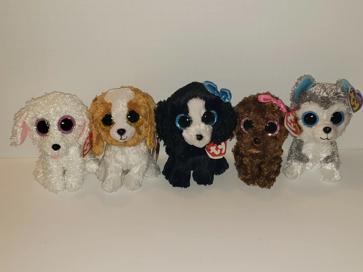 Tracey the top dog beanie boo