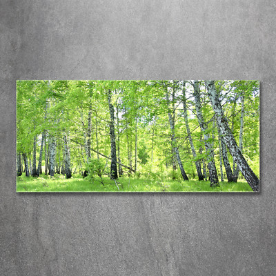Glas-Bild Wandbilder Druck auf Glas 120x60 Deko Blumen & Pflanzen Birkenwald