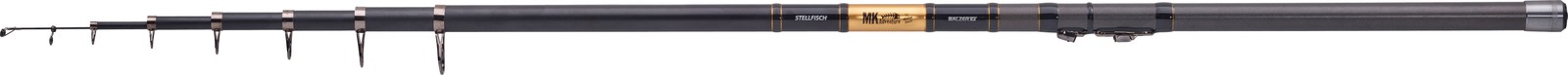 Balzer MK Adventure IM-6 Stellfischrute 750 50 - 150 27190₽