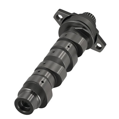 Camshaft for Honda Sportrax 400 TRX400EX 99-08 14000-HN1-A70 Steel