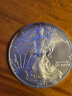 2004 American Silver Eagle has Rim Toning