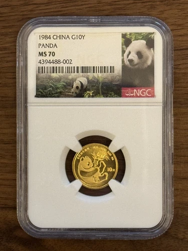 1984 China Gold Panda 1/10 oz G10Y 10 Yuan NGC MS70 Perfect Coin!