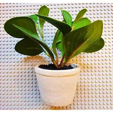 6 Pack 7" Green Broadleaf Table Top Center Piece Stoneware Pot Faux Top Soil NEW