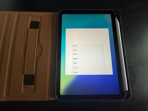 Apple iPad mini 6th Generation 64 GB, Wi-Fi 8.3in Case, Apple Pencil (bundle)