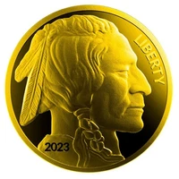 2023 1 oz American Silver Buffalo Full 24k Gold Gilded Silver Coin
