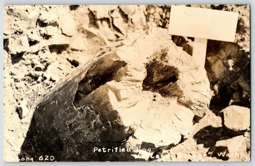 1940 Log Vantage Bridge, WA RPPC foto reale cartolina foto ravvicinata  - Foto 1 di 2