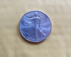 2013 WALKING LIBERTY AMERICAN EAGLE .999 FINE SILVER DOLLAR COIN 1oz. $1 USA
