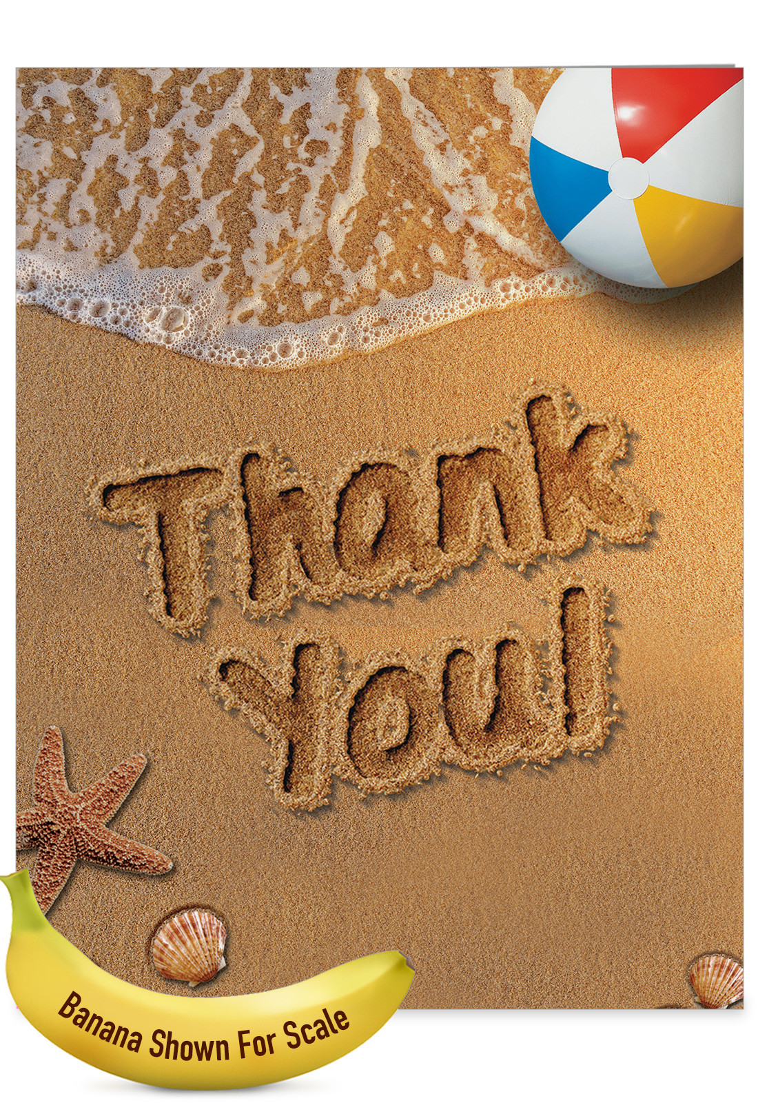 1 Big Thank You Greeting Card - Beach Notes J6113GTYG 745469216486 | eBay