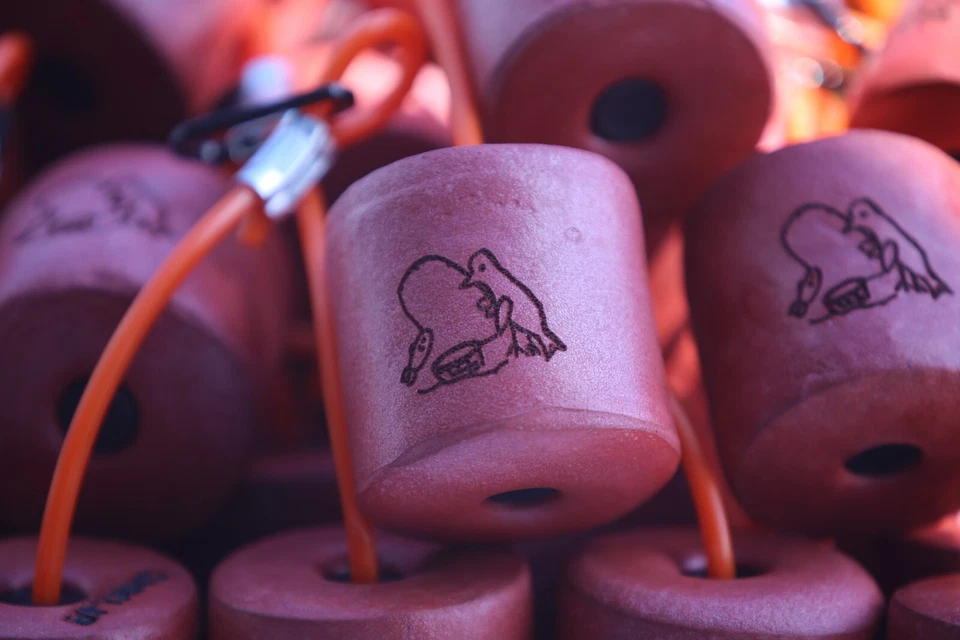 Flotador Boga, flotador GoPro, flotador cualquier cosa (regular) - para boga de 15 lb Foto 2 de 4