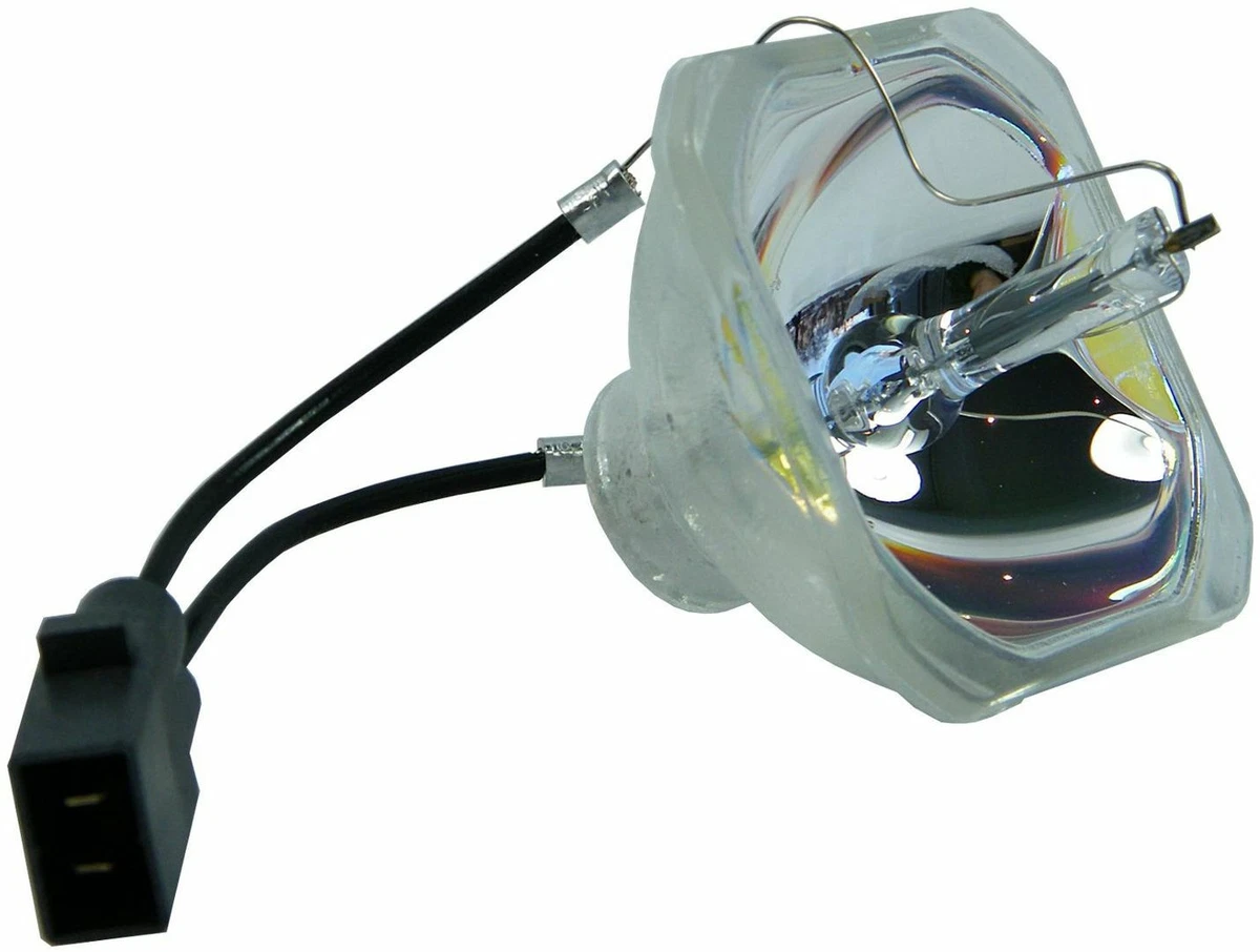 Projector globe hotsell