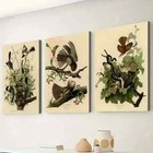3pcs Vintage Style Natural Plant And Animal Wall Art Canvas Unframed/Framed