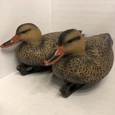 Hard Core Standard MALLARD HEN duck hunting decoy Whitetail 14”W x 7"H New