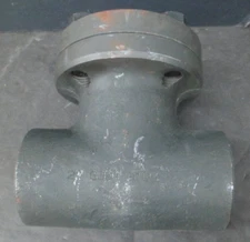 Flowserve Series SWS701 Check Valve Size : 2inch 800