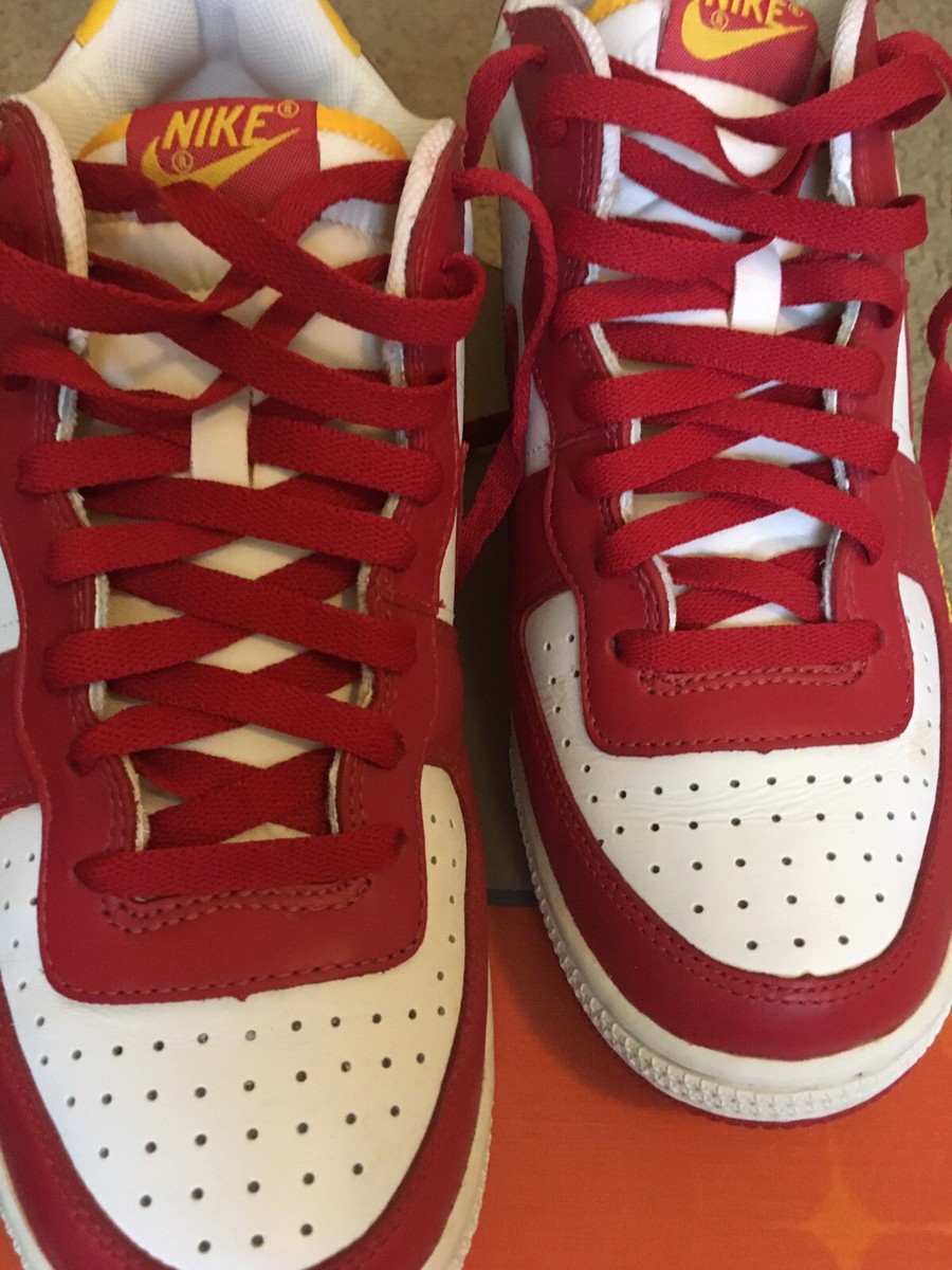 Nike Terminator Low “Supreme Court” 11.5 Vintage Excellent
