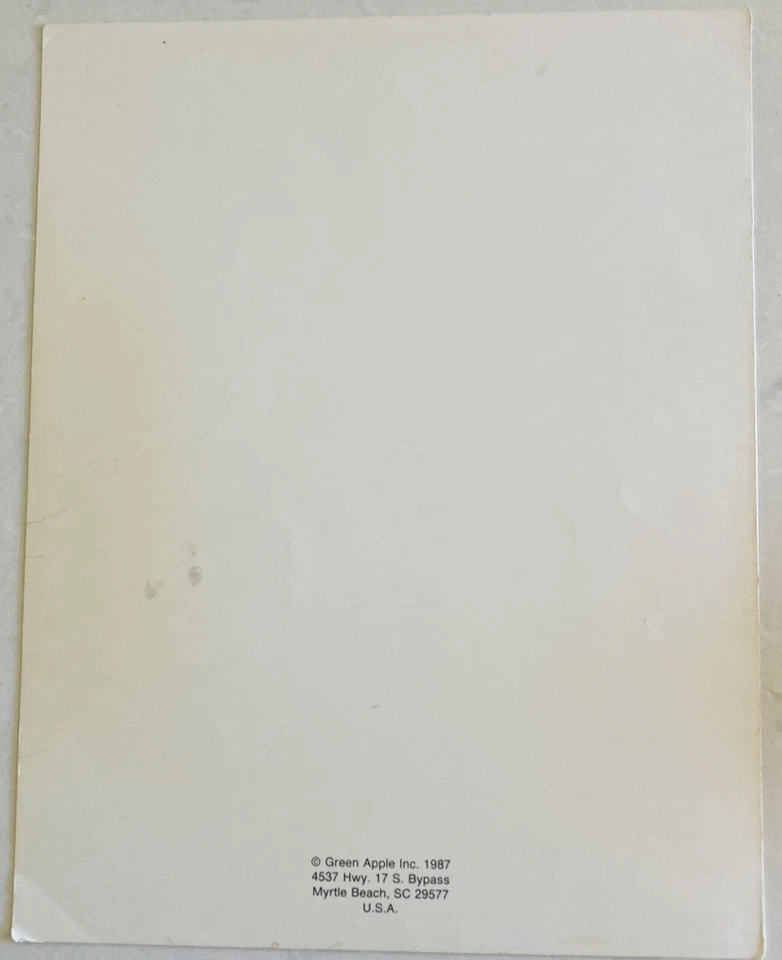 Vintage Janet Powers TULIPS Cross Stitch Pattern (1987) Green Apple Co # 575 - Image 2 of 2