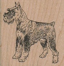 Schnauzer 2 1/4 x 2 1/4" Rubber Stamp, Dog Stamp, Dog Lover, Dogs