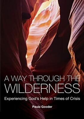 A Way Through the Wilderness: Experiencing God's Help in Times of Crisis,Paula 