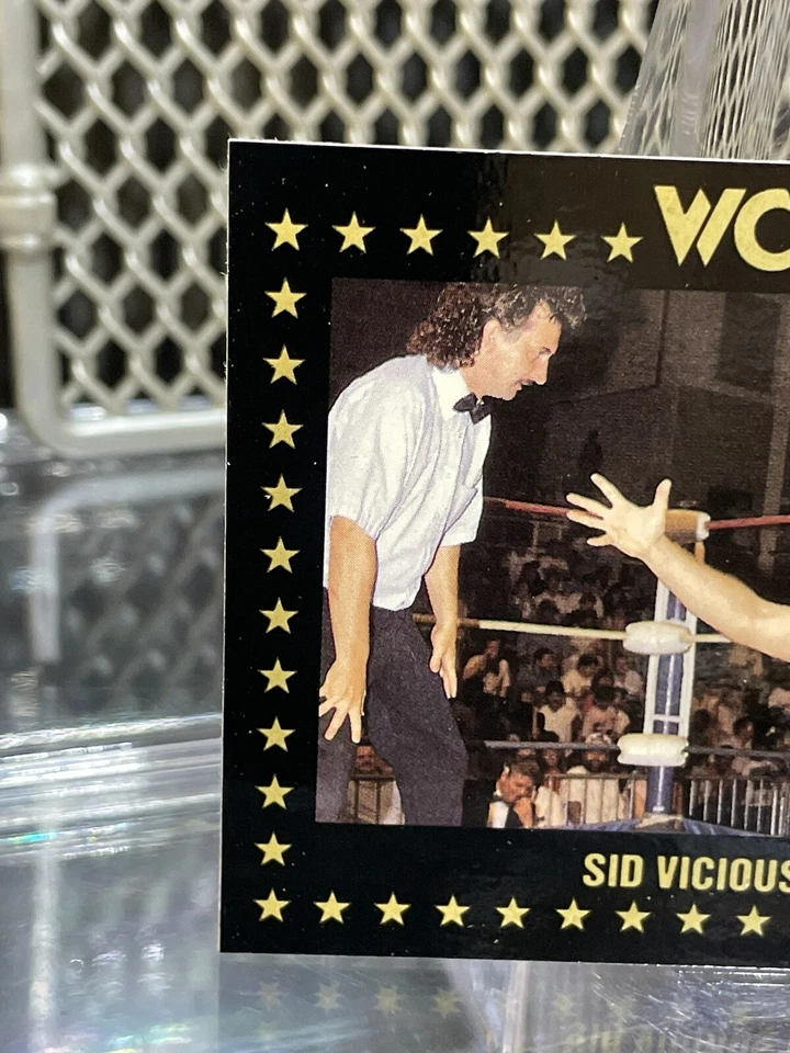 1991 WCW Marketing Sid Vicious Wrestling Card #43 WWE NWA WWF Classic Superstars - Image 4 of 4