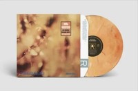 Reflection, 1 Schallplatte (Marble Effect Vinyl (180G)) | Steamhammer | Englisch