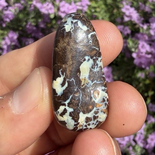 Koroit Boulder Opal, Queensland Australia, Authentic, 12.11g/60.55ct
