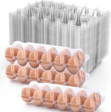 48 Pack Egg Cartons Cheap Bulk 12 Count, 1 Dozen Clear Empty Chicken Egg Cartons