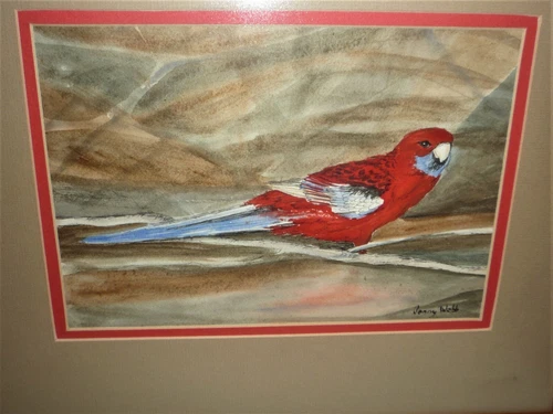 VINTAGE AUSTRALIAN WATERCOLOUR OFA  ROSELLA SIGNED JENNY WEBB - Picture 2 of 5
