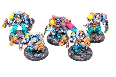 Warhammer Space Wolves Wolf Guard Terminators Well Painted JYS3