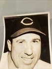 Ernie Joy Cincinnati Reds Baseball Club Co Stamp Vintage Photo — photo 4