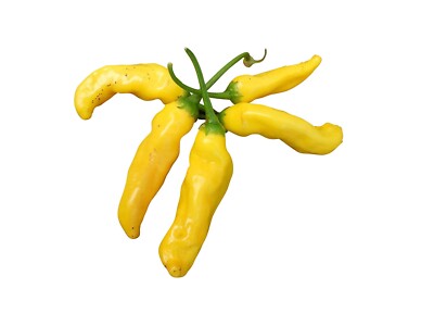 Chili Aji Pineapple 10 Samen  (Chili mit Ananas Aroma)