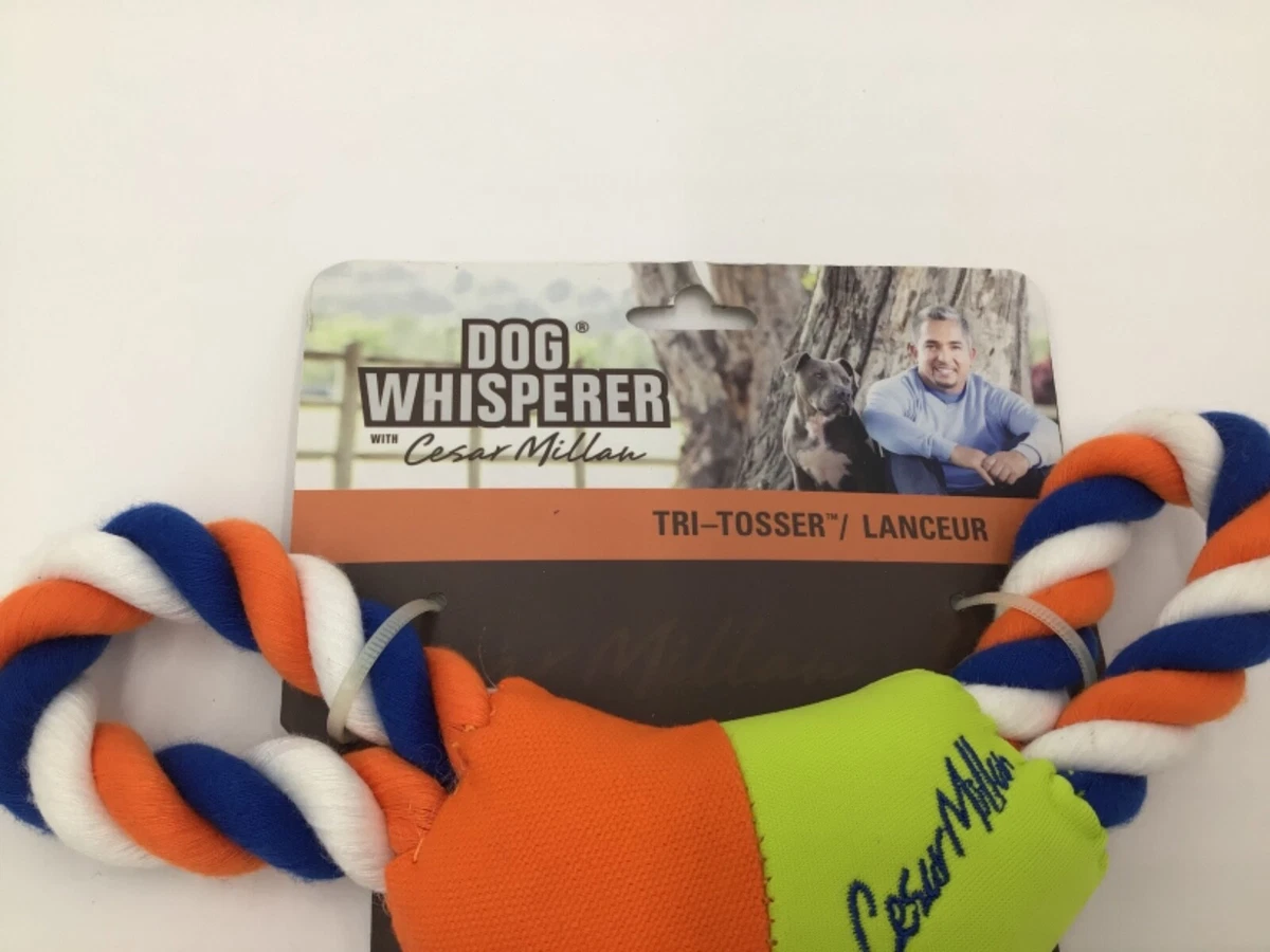 Cesar millan top chew toys