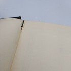 Bild 5 von 12