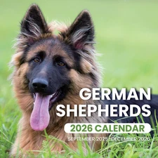 Wall Calendar 2026, German Shepherd Dog Calendar from September 2025 to December