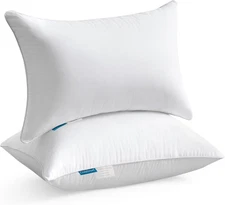 Oubonun 16 x 24 Pillow Inserts (Set of 2) - Lumbar 2 Count (Pack 1), White 