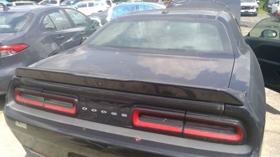 Trunk/Hatch/Tailgate Painted Fits 15-23 CHALLENGER 5909607
