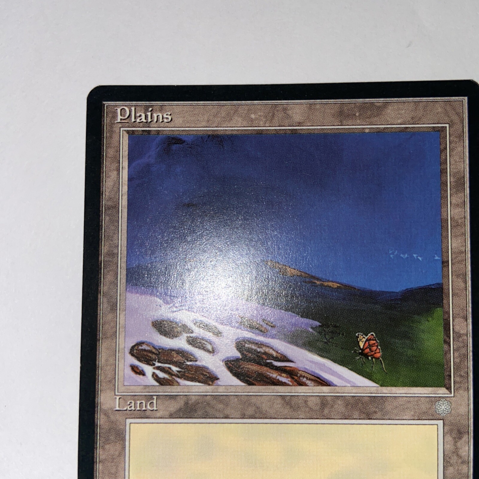 Picture 5 of 6