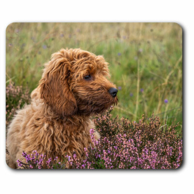 Computer Mouse Mat - Fluffy Cockapoo Puppy Dog Office Gift #2703 | eBay UK