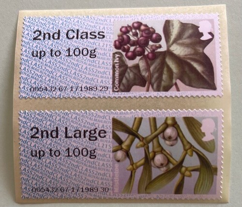 NCR - WINTER GREENERY - R21YAL - COLLECTOR / 1ST / 2ND / OPEN VALUES - FDI - Picture 4 of 10