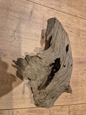 Treibholz Schwemmholz Driftwood Aquarium Terrarium 23 cm