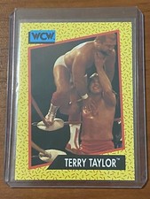 1991 Impel WCW #70 Terry Taylor