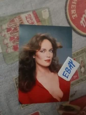 DUKES OF HAZZARD, TV SHOW, CATHERINE BACH AS DAISY DUKE, GLOSSY COLOR 4X6 PHOTO