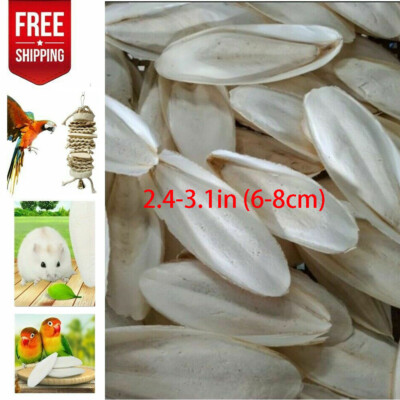 10-20Pc 2.4-3.1'' Cuttlebone for Birds Parrot Chewing Cuttle Bone For Sharp Beaks