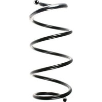 Spidan 56189 Fahrwerksfeder FüR Renault Laguna BG0 1 KG0 1