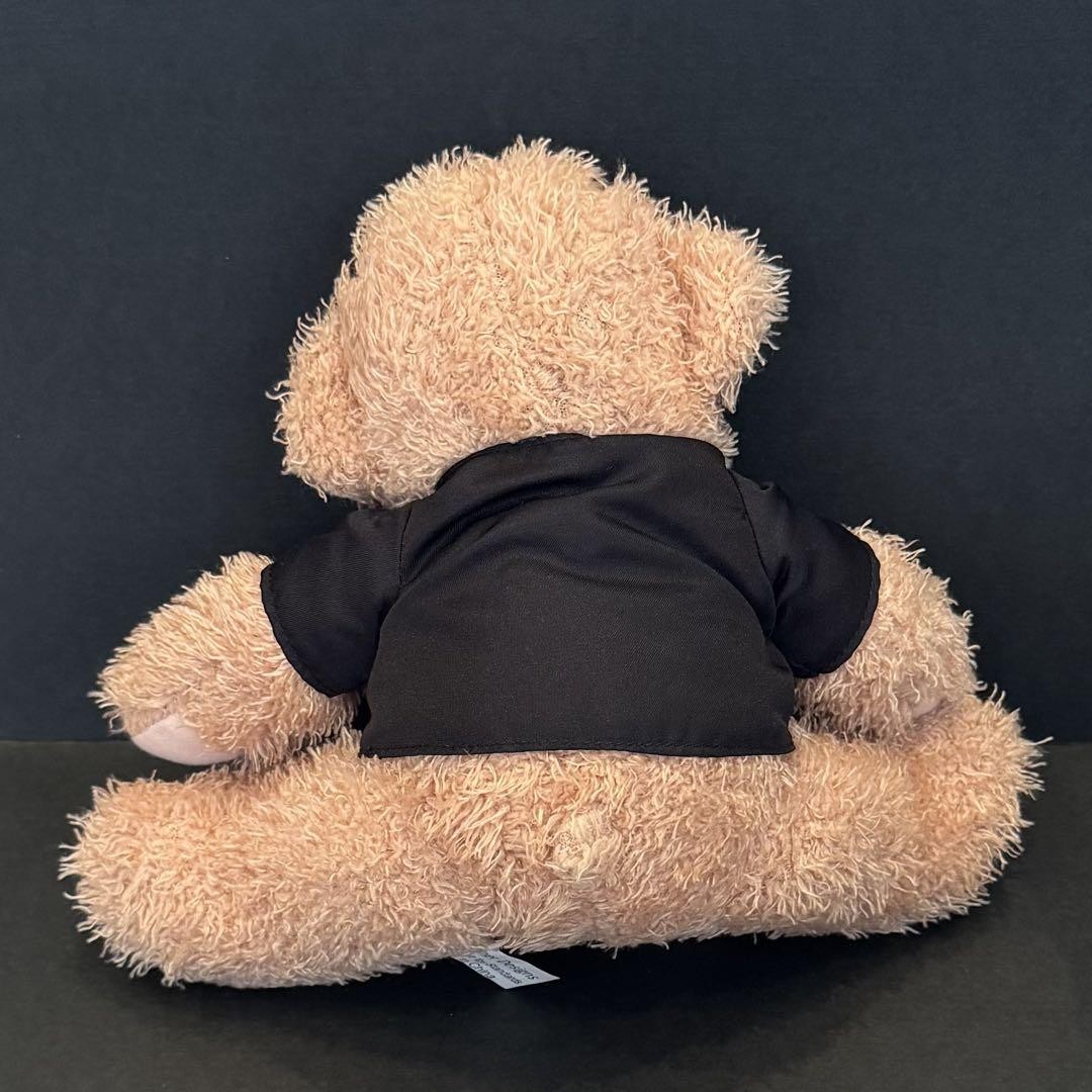 Taylor Swift fearless teddy bear | eBay