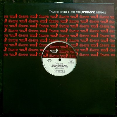 The Doors Hello I Love You Adam Freeland Remixes New Unplayed 12 Ebay
