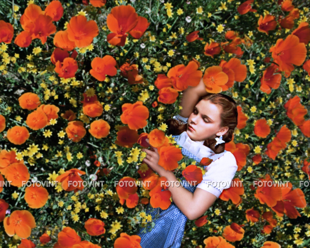 Wizard of Oz POPPY FIELD Dorothy Photo Picture JUDY GARLAND 8x10 11x14  16x20 W15