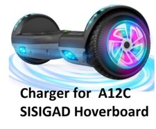   power supply battery Charger for ALL SISIGAD 18V A12B A12c HOVERBOARD