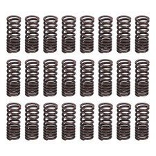 Set Of 24 Valve Springs For 1940-1948 Lincoln 4.8l 4786cc 292cid V12 Engines